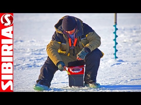 Видео: Волшебная безмотылка (чёртик) по первому льду на леща и окуня. Первый лёд на водохранилище