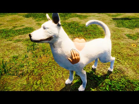 Видео: Приют для Бездомных Животных #1 Спасаю собак и кошек в Animal Shelter Prologue на пурумчата