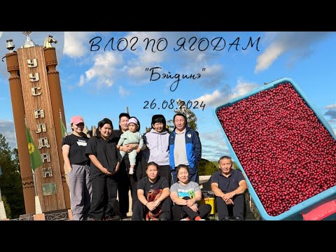 Видео: Влог по ягодам «бэйдинэ» 26.08.2024 🙌🏻