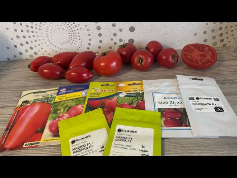 Видео: ТОМАТЫ 2026, гибриды, по советам из комментариев