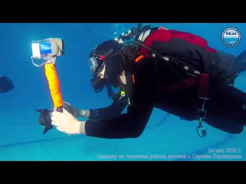 Видео: 2019_05_04 - Семинар по техникам работы ластами с Сергеем Горпинюком