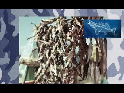 Видео: Как солить рыбу ( Бычок )