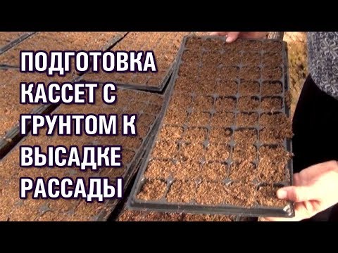 Видео: Высадка рассады - подготовка кассет с грунтом.🍓🍅