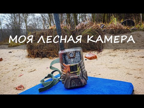 Видео: Обзор фотоловушки с сим картой. Филин HC-900 LTE