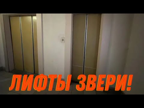 Видео: Лифты звери! КМЗ 1996 года! Камышовая 46к3!