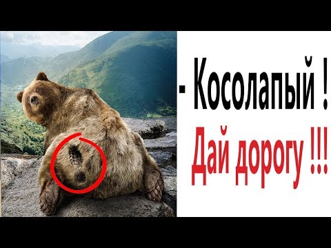 Видео: САМЫЕ СМЕШНЫЕ ВИДЕО МЕМЫ 2020! Убойная РЖАКА ДО СЛЁЗ - Domi Show!