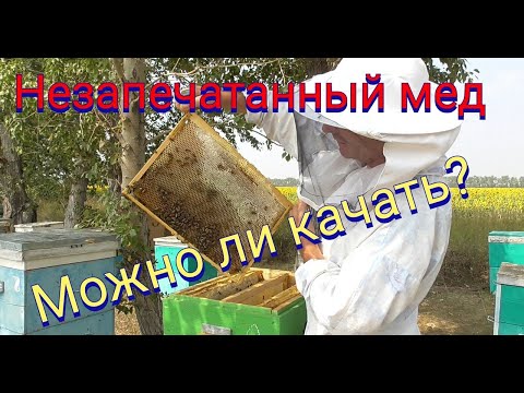 Видео: Можно ли откачивать не запечатанные рамки?