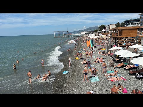 Видео: АДЛЕР / Чайка / Мандарин 🍊Огонёк / Южное Взморье