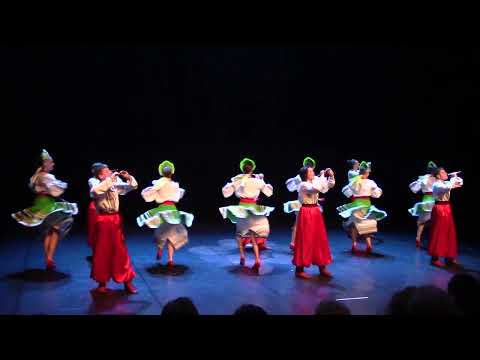 Видео: "СОПІЛОЧКА"