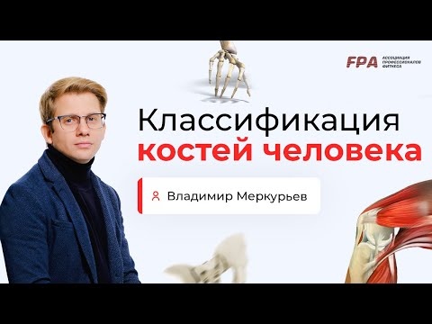 Видео: Классификация костей | Владимир Меркурьев (FPA)