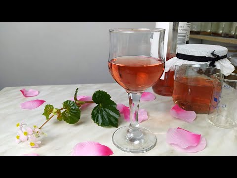 Видео: Как сделать уксус из магазинного вина?