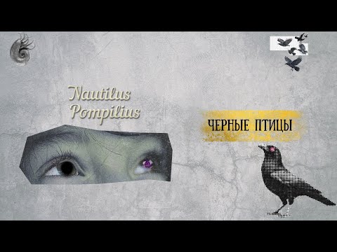 Видео: Nautilus Pompilius - Черные птицы (кавер- Виталий Подземный))