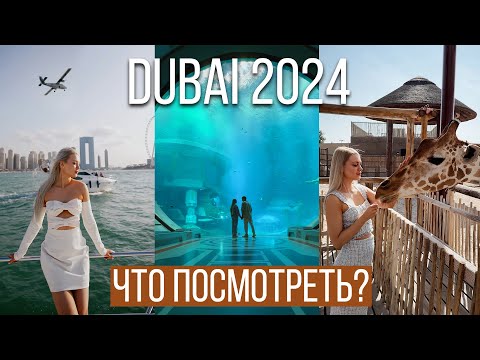 Видео: ЛУЧШИЕ МЕСТА В ДУБАЕ 2024 🇦🇪 SEA WORLD, DUBAI SAFARI PARK, ПРОГУЛКА НА ЯХТЕ 🛥️