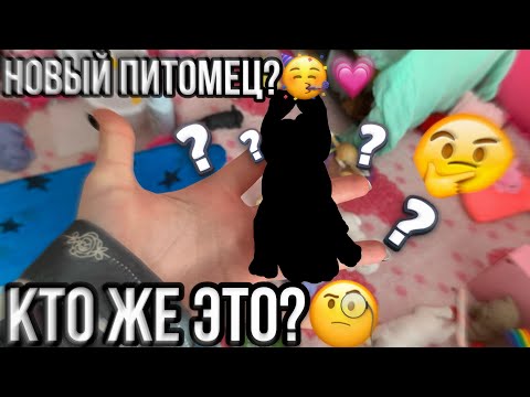 Видео: НОВЫЙ ПИТОМЕЦ?🧐 Что нового?💕 (ЧИТ. ОПИСАНИЕ)
