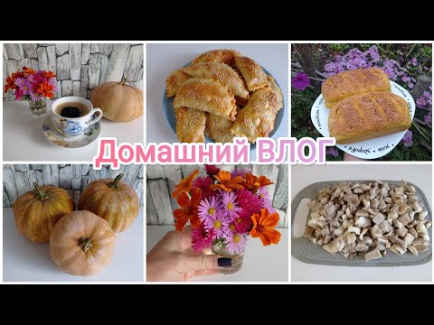 Видео: Домашний ВЛОГ. Урожай тыквы. Лентяйские запасы. Вкусная выпечка