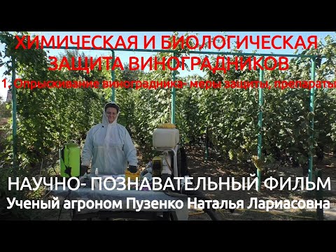 Видео: Опрыскивание виноградников, меры защиты, препараты (Пузенко Наталья Лариасовна)