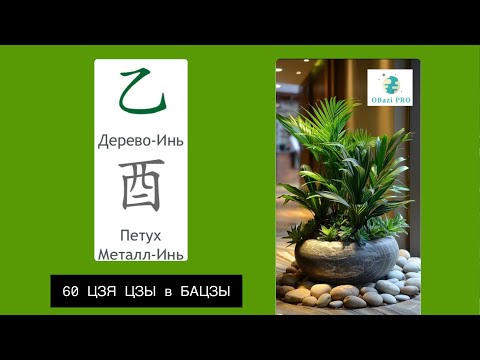 Видео: Одна из страшилок в БаЦзы. 22 столп Дерево Инь на Петухе | ЦЗЯ ЦЗЫ