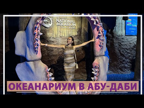Видео: Океанариум в Абу-Даби