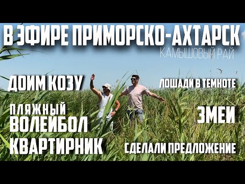 Видео: В ЭФИРЕ ПРИМОРСКО-АХТАРСК 19 ВЫПУСК (сделали предложение, доим козу, квартирник) #приморскоахтарск