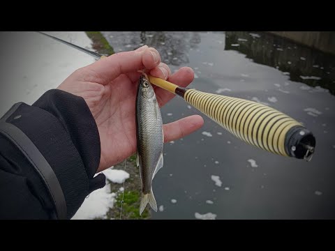 Видео: Зимний поплапоппер против Танаго