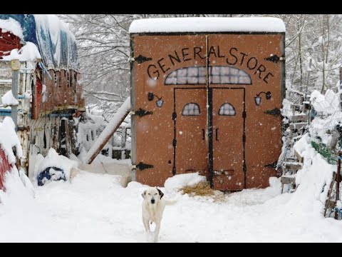 Видео: Зимнее Содержание Табуна Лошадей // Horses, Donkeys & Mules 2020