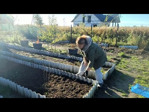 Видео: Сажаю Чеснок / Смешной Басик / Красивое Море /