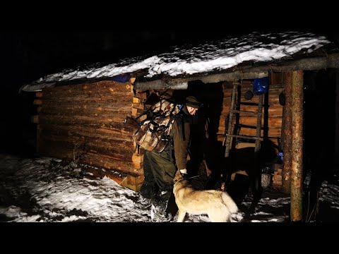 Видео: ВОЛКИ. ШТОРМОВОЙ ВЕТЕР. НОЧУЮ В БЛИЖНЕЙ ИЗБЕ. ОХОТА НА БОРОВУЮ ДИЧЬ.