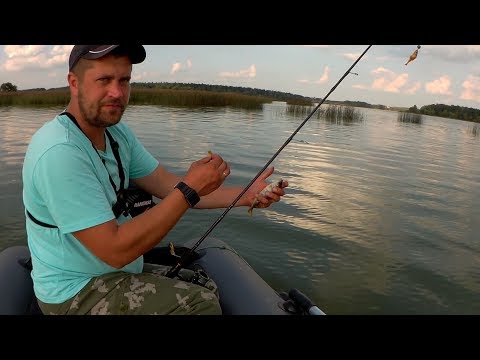 Видео: Окунь на каждом забросе. Рыбалка на Истринском Водохранилище 2019