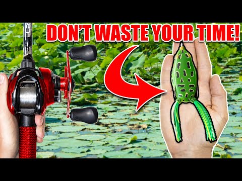 Видео: САМЫЙ БЫСТРЫЙ способ ловить рыбу на кувшинках и ДЕЙСТВИТЕЛЬНО поймать рыбу!
