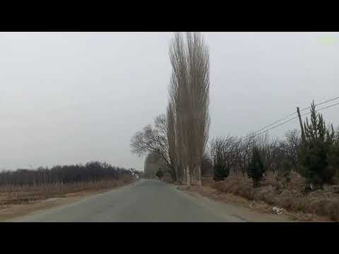 Видео: Исфара 🇹🇯Устомулло Исфара