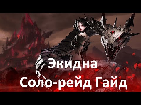 Видео: Lost Ark. Соло-рейды. Экидна гайд (Прелюдия. Белая ночь, обагренная кровью)