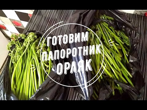 Видео: Готовим папоротник ОРЛЯК