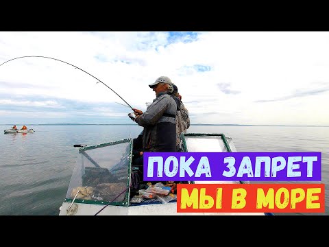Видео: РУКИ ОТВАЛЯТСЯ ТАСКАТЬ ЭТУ РЫБУ! Рыбалка в Балтийском море