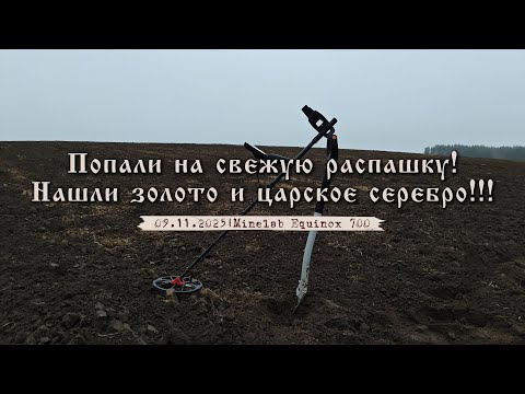 Видео: Попали на свежую распашку! Нашли золото и царское серебро!!! Коп с Minelab Equinox 700.