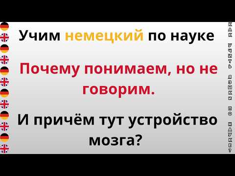 Видео: Как работает мозг при изучении языка? Или почему понимаем, но не говорим!