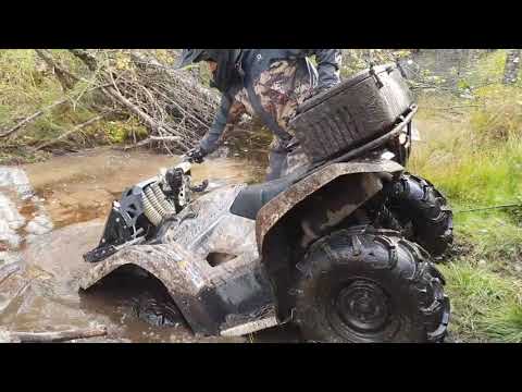 Видео: Четыре Yamaha Grizzly 700. Новые приключения: глубокие канавы, затопленные просеки, болота.