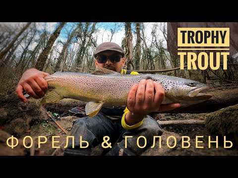 Видео: РЕКОРДНА ФОРЕЛЬ та весняний ГОЛОВЕНЬ. Спінінгова риболовля на гірській річці.