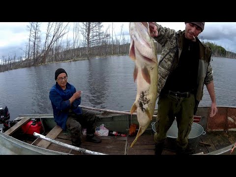 Видео: ЗДЕСЬ ВОДЯТСЯ "КРОКОДИЛЫ"!!ЖИВЕМ НА ЩУЧЬЕЙ РЕКЕ!!ОБАЛДЕННАЯ РЫБАЛКА!!Часть вторая!