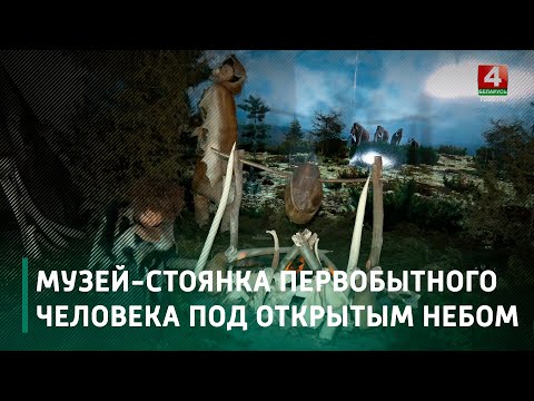 Видео: Музей-стоянка первобытного человека в Юровичах под открытым небом