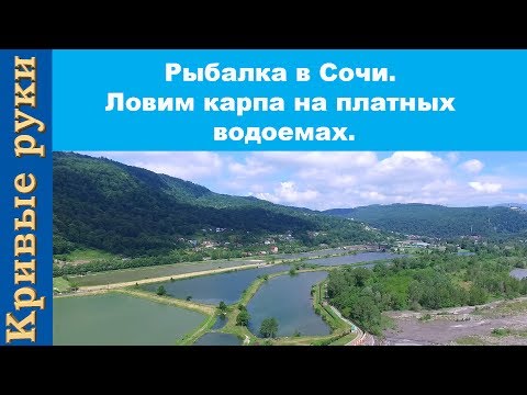 Видео: Рыбалка в Сочи. Ловим карпа на платных водоемах.