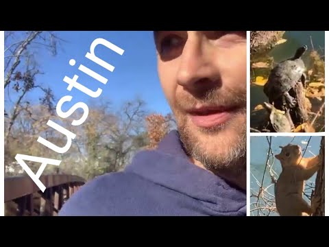 Видео: Прогулка по Остину, местная фауна, черепахи и др.