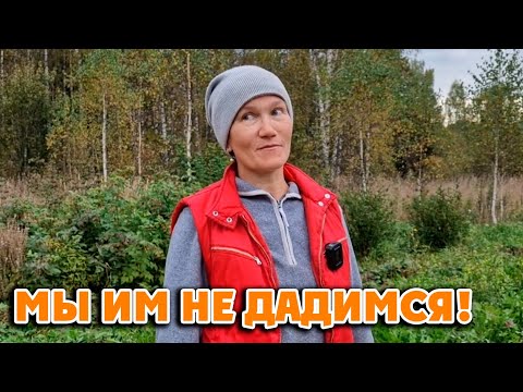 Видео: ОСЕНЬ В РАЗГАРЕ 🔥 200 КОРНЕЙ 😲 УЖЕ ОЧЕРЕДЬ ЗА КАПУСТОЙ 20-28 сентября 2025