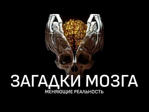 Видео: То, что вы считаете реальностью – иллюзия