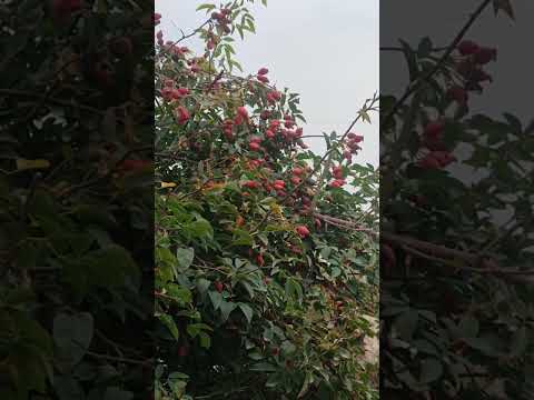 Видео: 161. Г. Жолбунова  (04.10.25)