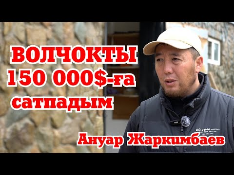 Видео: ВОЛЧОКТЫ 150 000$-ға сатпадым