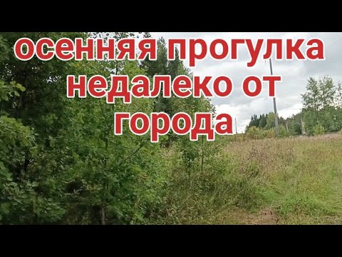 Видео: прогулка с #nokta makro simplex plus