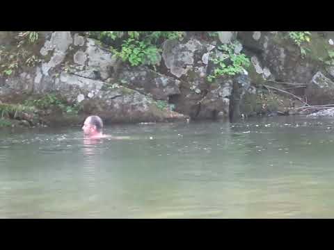 Видео: река Стеклянуха, ручей Горбатый