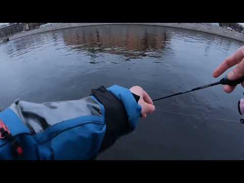 Видео: Ловля окуня на Фонтанке.Первые впечатления от спиннинга Narval Micro-N#fishing #рыбалка #нева