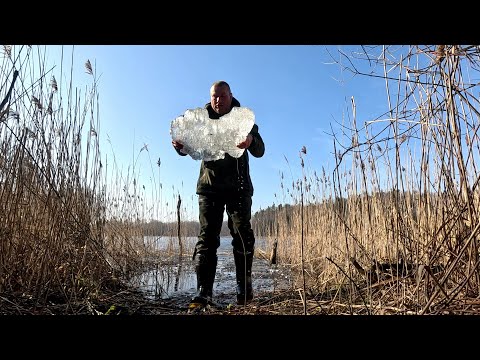 Видео: Последний лед. Рыбалка в латгалии.