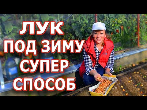 Видео: Супер способ посадки лука под зиму 🌿🌿🌿 Самая полная информация о посадке лука севка осенью.